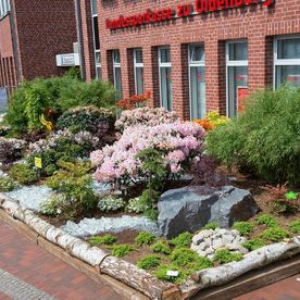 Baumschule Keilers Bad Zwischenahn-Aschhauserfeld (Bild Foto Sander)